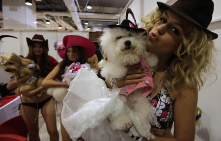 Dog fashion show in Bangkok