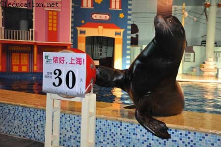 A sea lion pounds on a drum to mark the 30-day countdown to the opening ceremony of Shanghai World Expo at Shanghai Changfeng Ocean World, on March 30, 2010. Ocean World will put on stage live animal performances in April. April 1 marks the 30-day countdown to the opening ceremony of Shanghai World Expo. [Xinhua]